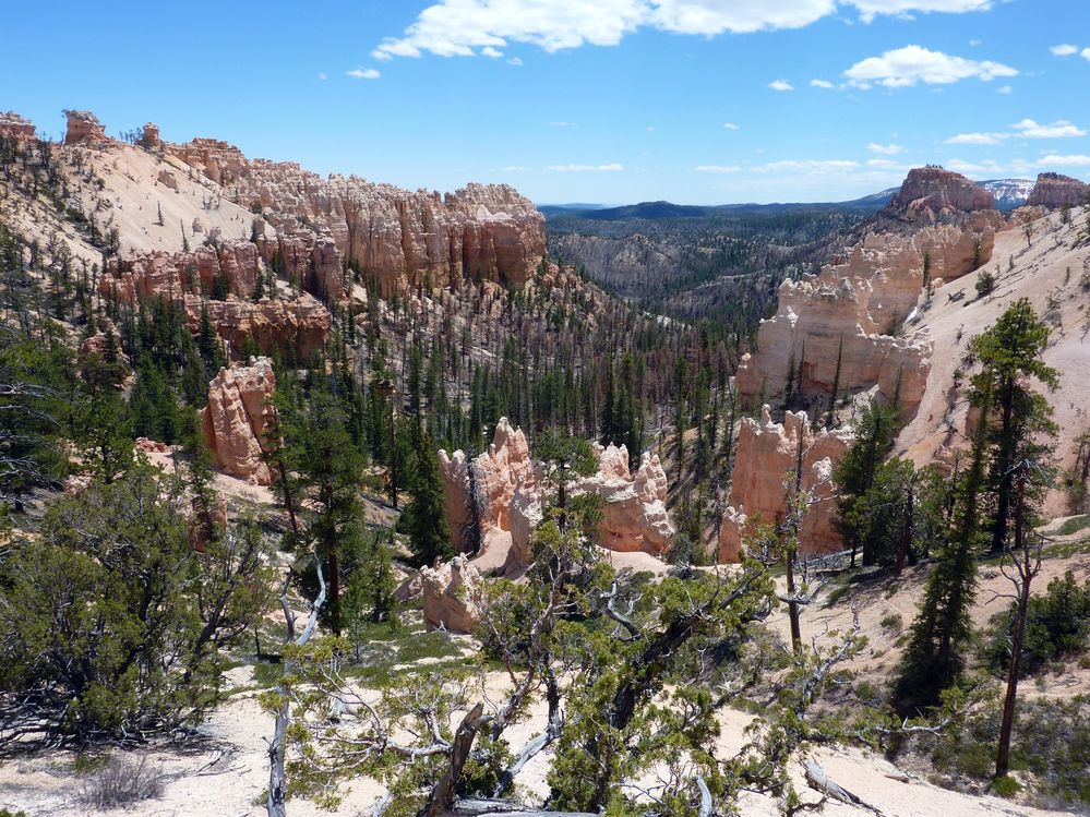 bryce canyon (112).JPG